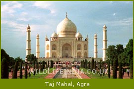 Taj Mahal, Agra Tours & Travel