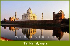 Taj Mahal - Agra, Agra Travel Agents, Agra Travel Vacations     