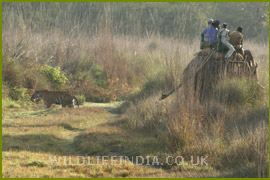 Photography Safari with Dennis Jones