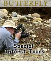 Butterfly - Special Interest Tours