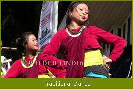 Traditional Dance of Monastry Festival's