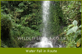 Water Fall in Route of Kanchanjunga Trek