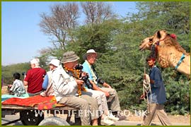 Photography Safari with Dennis Jones