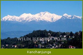 Trek Khangchendzonga, A Part of Himalaya
