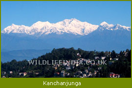 Mount Khangchendzonga Trek (Kanchanjunga Trek)