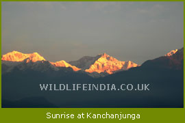 Sunrise at Kanchanjunga