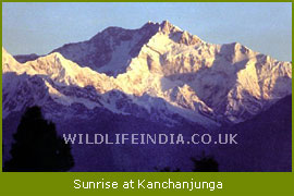 Sunrise at Kanchanjunga