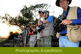 Wildlife Filming & Photographic Expeditions 
