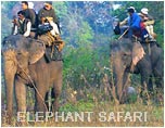 Elephant Safari - Corbett, Wildlife Tour India, India Wildlife Tour 