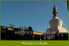Monastry in Route of  Khangchangunga Trek