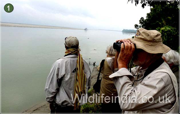 Kaziranga National Park