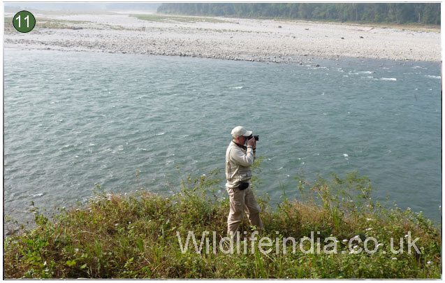 Manas  National Park