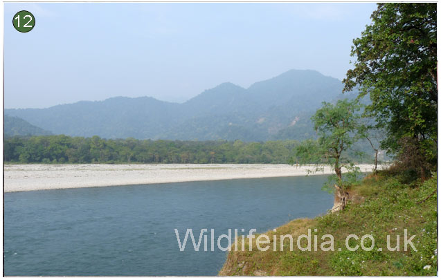 Manas National Park