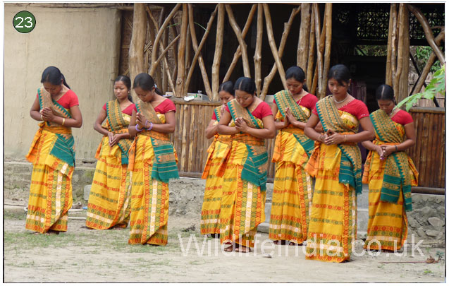 Traditional welcome dance