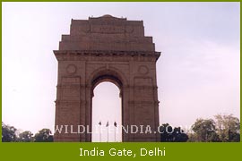 India Gate, Delhi tour & Travel