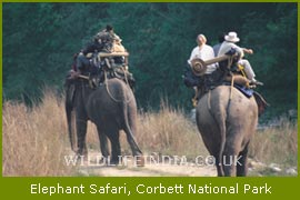 Elephant Safari, Wildlife Safari Tours of India