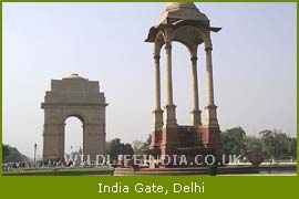 India Gate, Delhi Tour & Travel