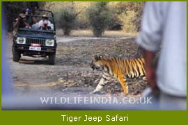 Tiger Jeep Safari, Wildlife Jeep safari of India