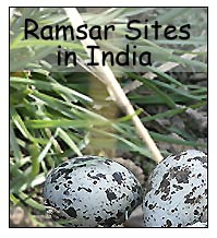 Ramsar Sites India