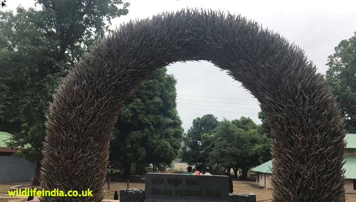 Kaziranga National Park